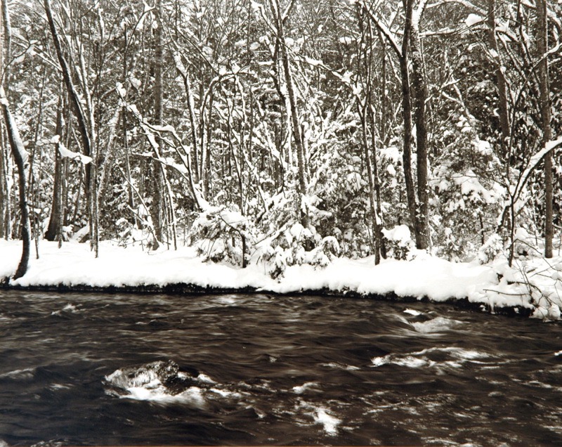 Winter Stream